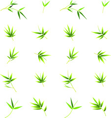 Naklejka premium simple vector bamboo tree. Flat line design. Set of elegant floral elements for graphic and web design. Decorative vintage line elements collection. Vector illustration