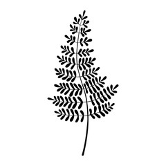 Fern silhouette vector illustration. Forest greenery background