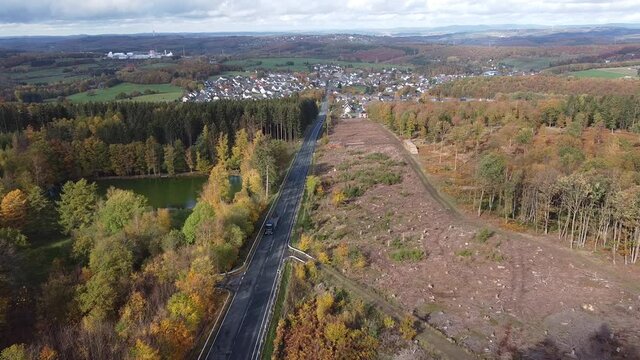 Sch&auml;den durch den Borkenk&auml;fer im Siegerland (NRW)