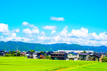 Fototapeta na wymiar 日本の田園風景と青空