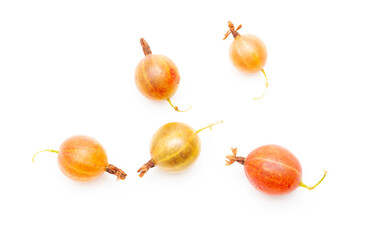 Gooseberry isolated on a white background. Close-up