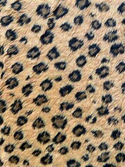 Tiger fur.  Skin.  artificial.  The color of the cheetah and leopard.  Soft touch.  The color is in specks and polka dots.