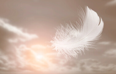 Lightly White Feather Floating in The Sky. Abstract Feather Flying in Heavenly.