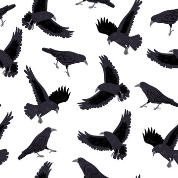 Seamless pattern with crows on a white background. Vector graphics.