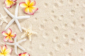 Poster Tropical flower frangipani or plumeria and seashells, starfish on sand background, top view, copy space © 18042011