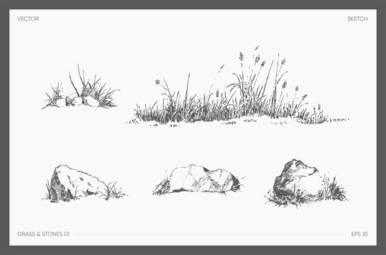 High detail drawn vector grass and stones sketch
