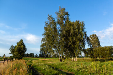 Krajobraz wiejski Podlasia, Polska