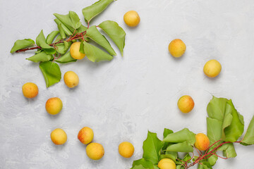 Organic sweet juicy apricot fruits.