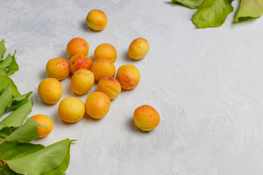 Organic sweet juicy apricot fruits. © Husniyya
