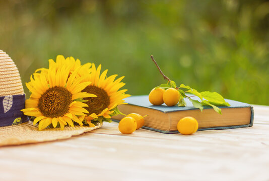 book, yellow plums and sunflowers on the table in the garden. rest, vacations and leisure concept