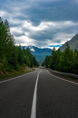 Asphalt highway among the spruce forest leading to the mountains in the Altai Mountains