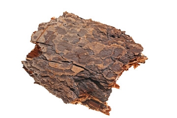 Pine bark on a white background
