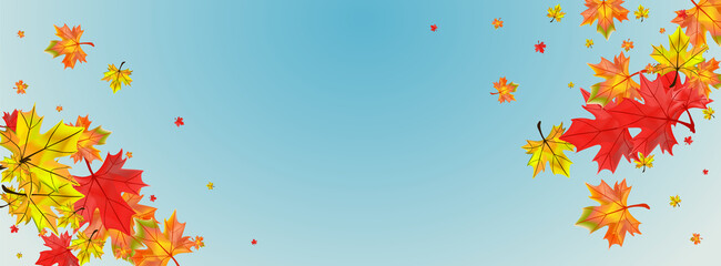 Autumnal Leaves Background Blue Vector. Floral