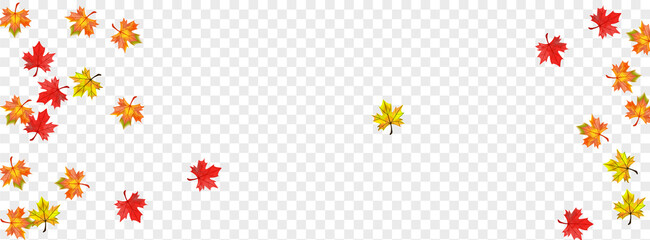 Yellow Floral Background Transparent Vector. Leaves Realistic Design. Autumnal Tree Foliage. Ground Plant Card.