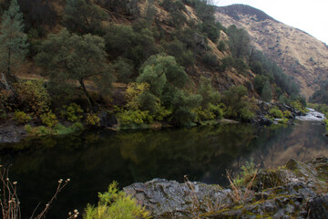 stream in the forest