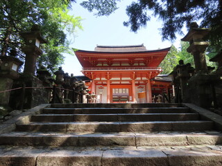 奈良公園にて。鹿と春日大社と。