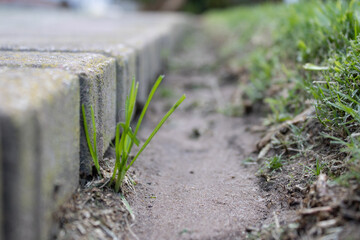 Set yourself apart.
Grass on the wrong side