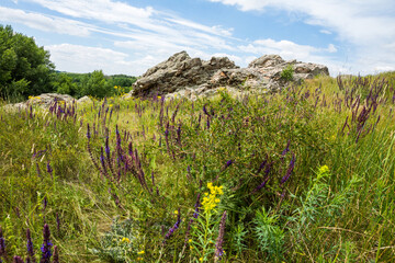 Rocks among the steppe grasses