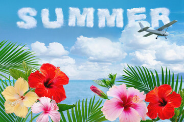 Summer tropical background, exotic Hibiscus flowers and palm leaves against blue sky, sea, plane...