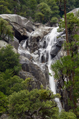 waterfall in the forest