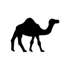 camel icon or logo isolated sign symbol vector illustration - high quality black style vector icons
