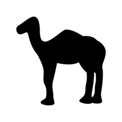 camel icon or logo isolated sign symbol vector illustration - high quality black style vector icons
