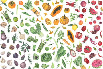 Harvest. Watercolor illustration with vegetables and fruits. Vegetarian food. Natural organic food. Healthy diet. Cooking food.