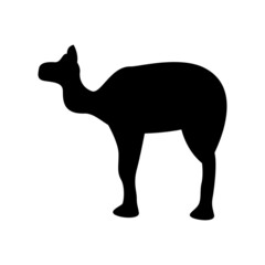 camel icon or logo isolated sign symbol vector illustration - high quality black style vector icons
