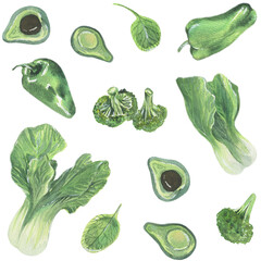 Seamless pattern. Watercolor painted collection of vegetables. Handmade fresh food design elements isolated.