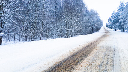 Obraz premium winter panorama in the Russian forest close up 