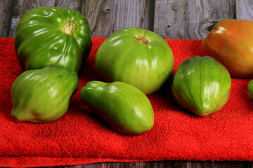 Green tomatoes ripen on a red fabric. group of green tomatoes on top of a fabric. Unripe green tomatoes 