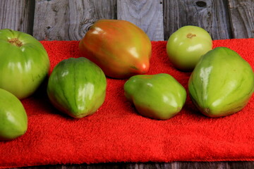 Green tomatoes ripen on a red fabric. group of green tomatoes on top of a fabric. Unripe green tomatoes 
