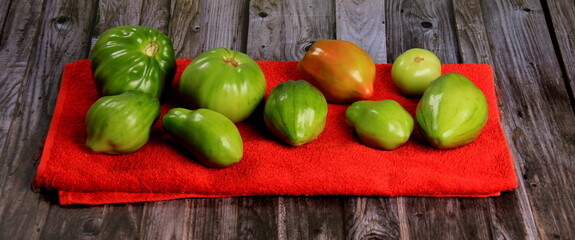 Green tomatoes ripen on a red fabric. group of green tomatoes on top of a fabric. Unripe green tomatoes 