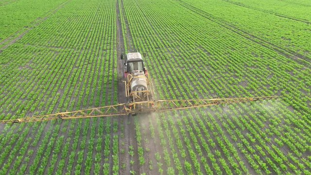 Application of water-soluble fertilizers, pesticides or herbicides in the field. View from the drone.