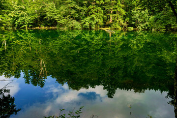 池に映った木々と青空が神秘的な竜ケ窪