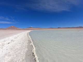Flamingos on the shores of a salt lake in the stone desert of Bolivia near the city of Uyuni. Eduardo Avaroa Andean Fauna National Reserve