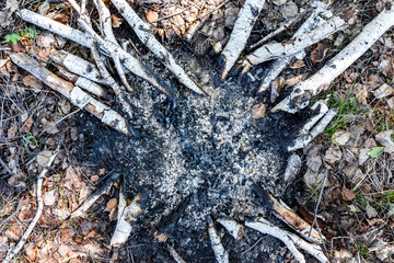 In the place for the fire there is coal, ash and burnt birch wood. The problem of the environment.