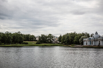 Obraz premium open-air park with green trees close-up 