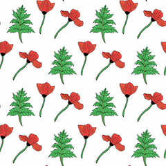 Seamless pattern with poppies and leaves on white background. Vector image.