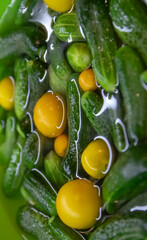 Fototapeta na wymiar Cucumbers and yellow tomatoes in water. Fresh vegetables