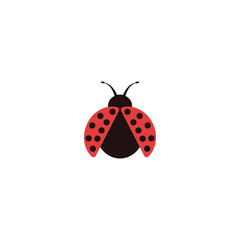 Ladybug icon design illustration template