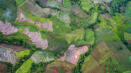 top view rice fields on terraced  , rice plantations , Chiangmai province , North of thailand