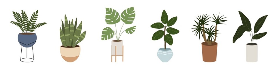Set of trendy potted plants for home. Vector illustrations.