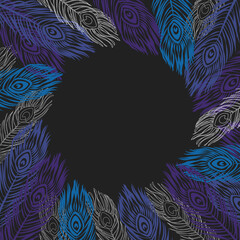 Outlined peacock feathers on black background. Isolated frame with space for text. Vector illustration.