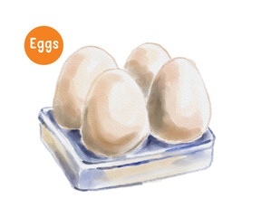 eggs watercolor illustration