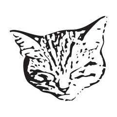 Vector of a cat face design on white background, Pet. Animals in eps 10