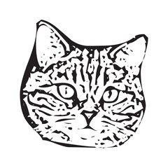 Vector of a cat face design on white background, Pet. Animals in eps 10