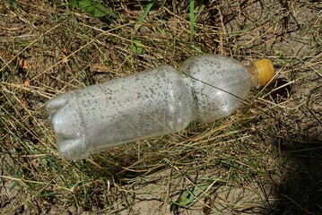 garbage from one big white plastic bottle  lies on gray dry grass and ground in nature