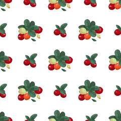 Seamless vector pattern with cranberries. Bright summer background. North Berries.