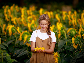 12 year old girl on a field of sunflowers